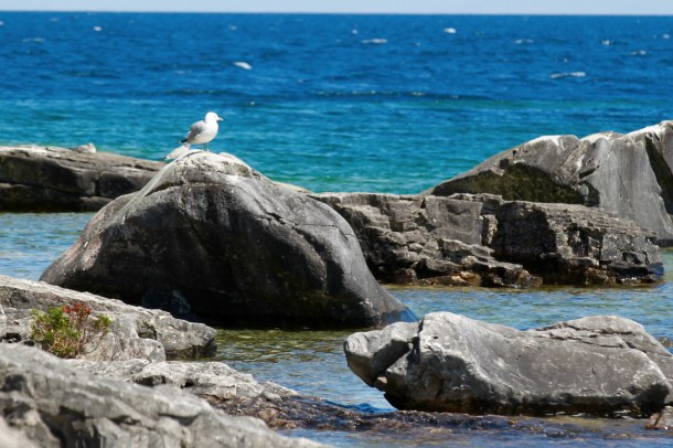 华人包车旅游, 多伦多旅游, 花瓶岛