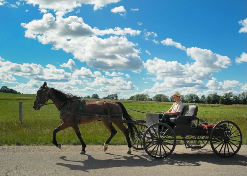 华人包车旅游, 多伦多旅游, 德国小镇