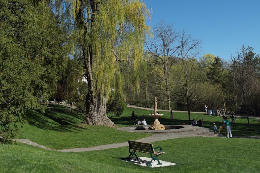 多伦多华人包车